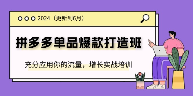 （11556期）2024拼多多-单品爆款打造班(更新6月)，充分应用你的流量，增长实战培训-轻创淘金网