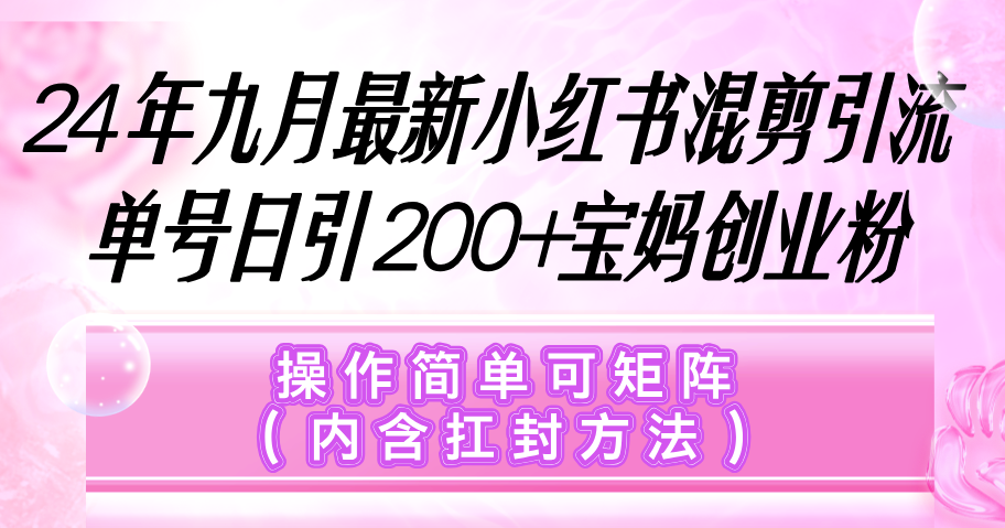 （12530期）小红书混剪引流，单号日引200+宝妈创业粉，操作简单可矩阵（内含扛封…-轻创淘金网