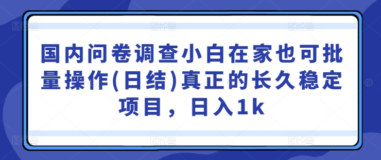 国内问卷调查小白在家也可批量操作(日结)真正的长久稳定项目，日入1k【揭秘】-轻创淘金网