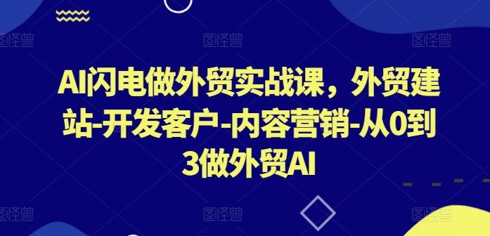 AI闪电做外贸实战课，​外贸建站-开发客户-内容营销-从0到3做外贸AI(更新)-轻创淘金网