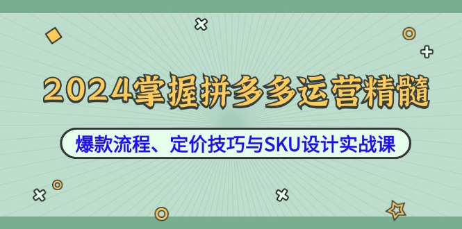 2024掌握拼多多运营精髓：爆款流程、定价技巧与SKU设计实战课-轻创淘金网